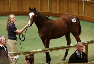 Weanling Day Two